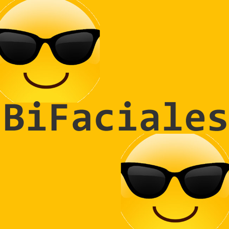 Imagen para la categoría Modulos bifaciales